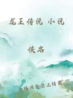 龙王传说 小说